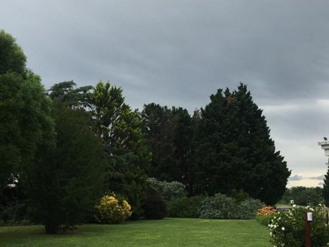 place photo 41