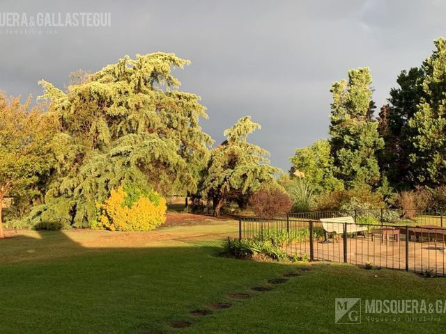place photo 40