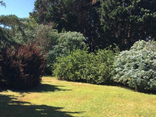 place photo 34