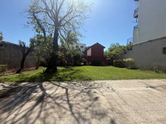 place photo 28