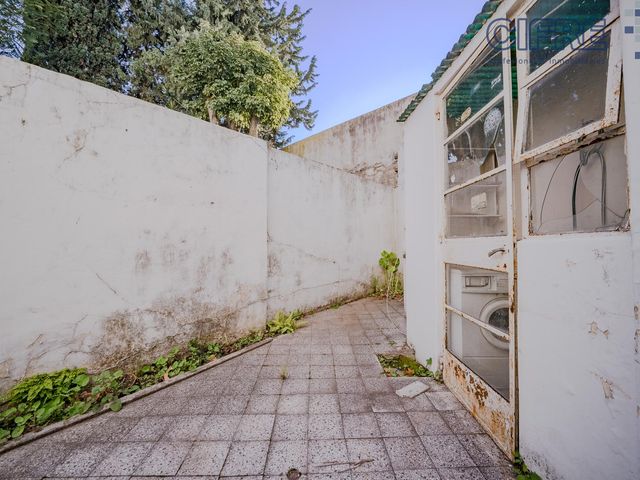 place photo 41