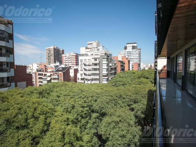 place photo 39