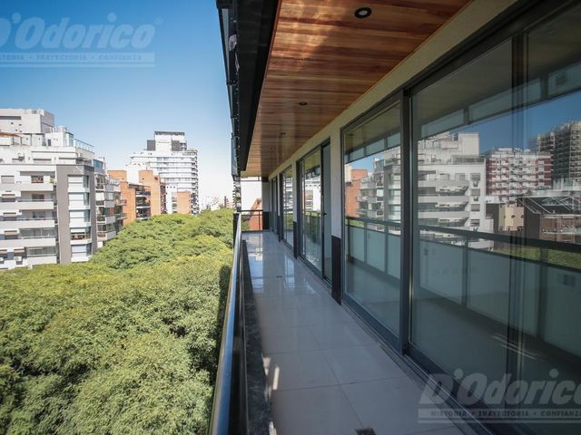 place photo 38