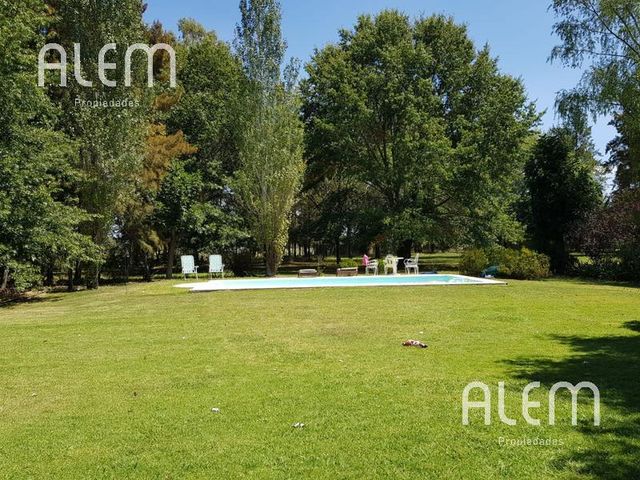 place photo 38