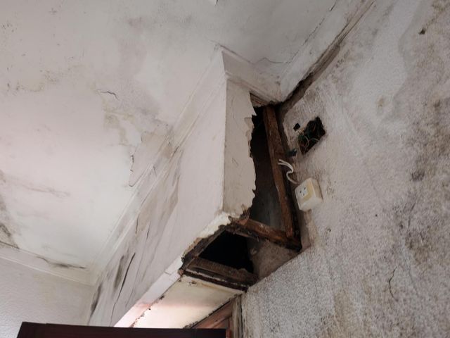 place photo 34