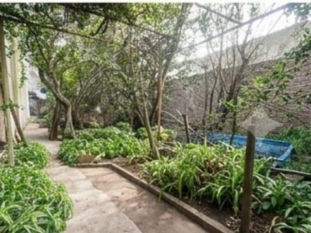 place photo 31