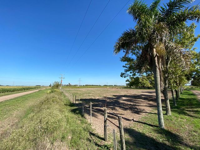 place photo 32