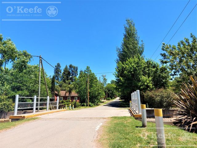 place photo 24