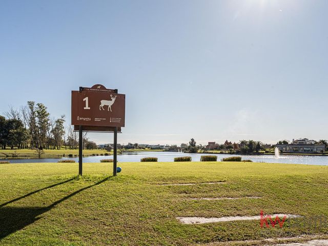 place photo 49