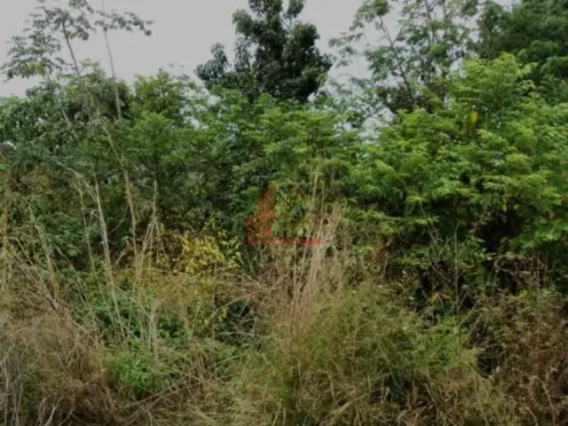 FRACCIONAMIENTO LA SELVA 225 TERRENO VENTA CANCUN QUINTANA ROO