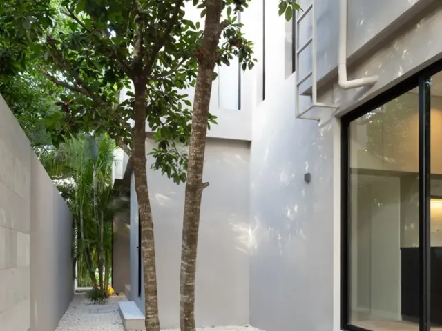 place photo 40
