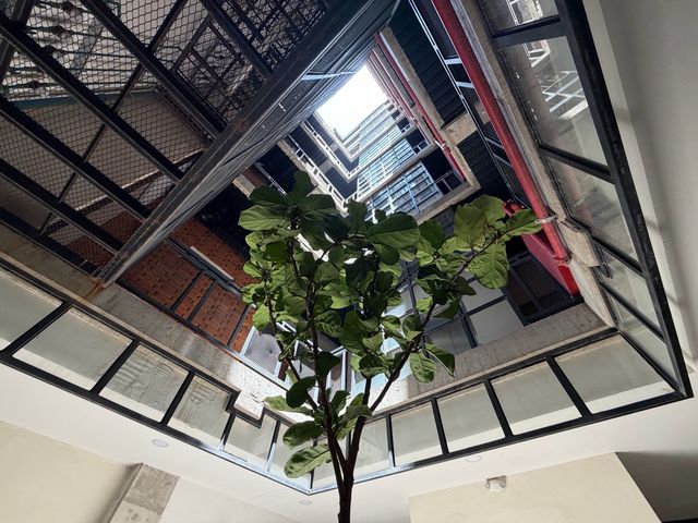 place photo 24
