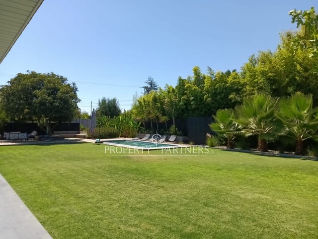 place photo 31