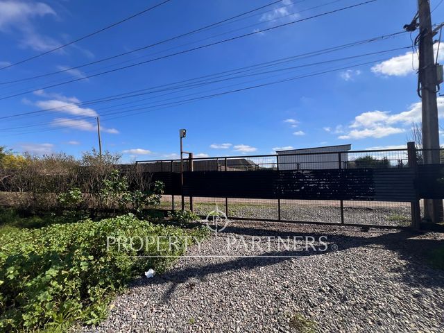 place photo 29