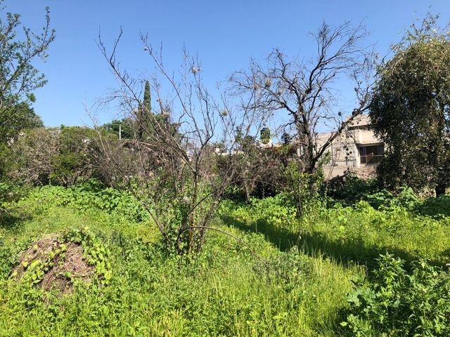 place photo 16