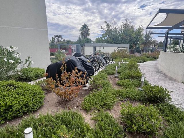 place photo 17