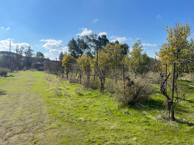 place photo 23