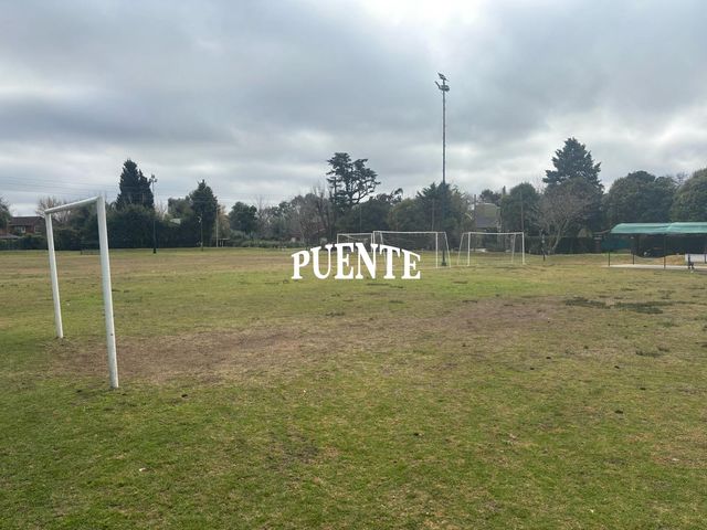 place photo 26