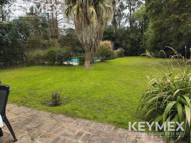 place photo 56