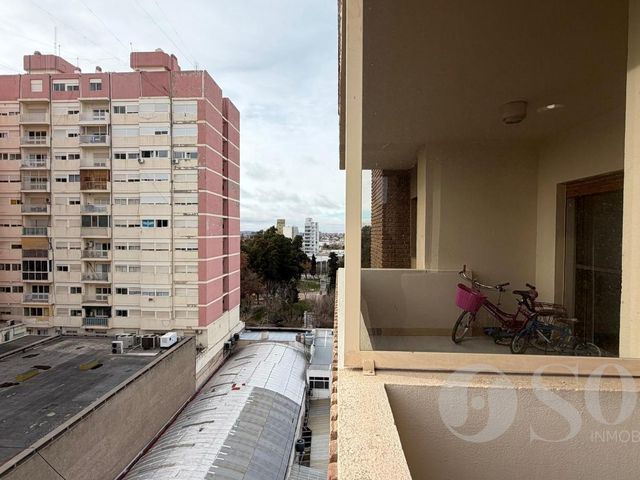 place photo 49