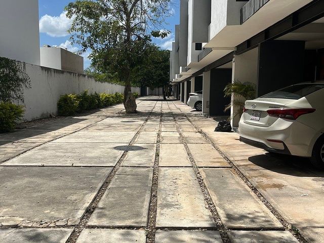 place photo 34