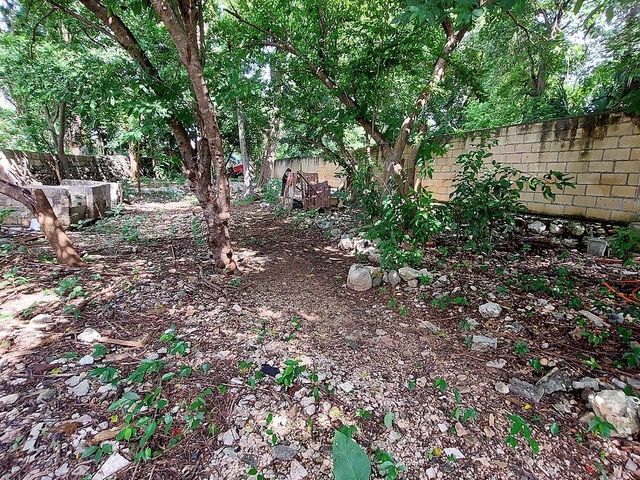 place photo 27