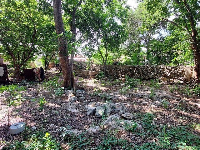 place photo 23