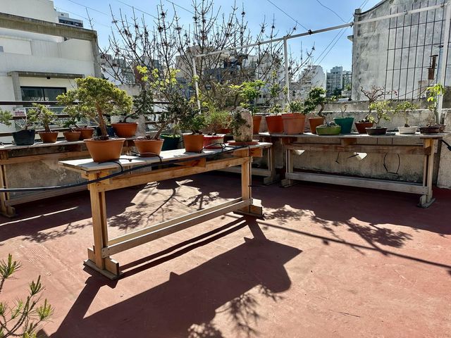 place photo 36
