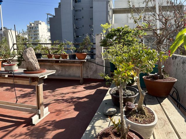 place photo 37