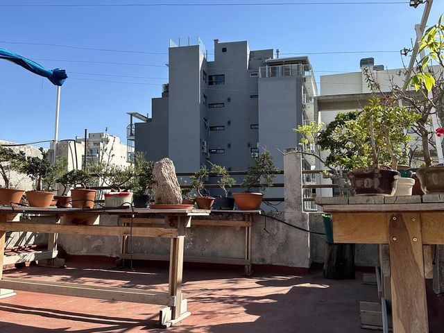 place photo 39