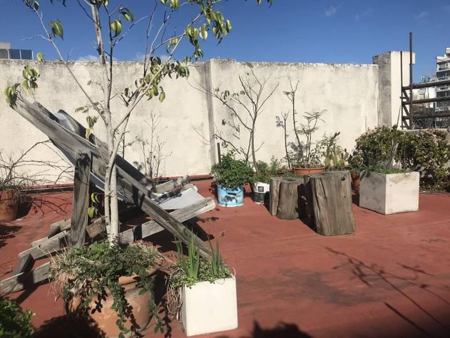 place photo 38