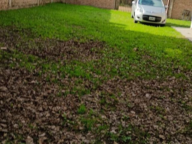 place photo 46