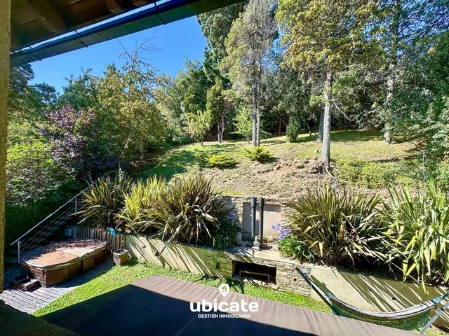 place photo 45