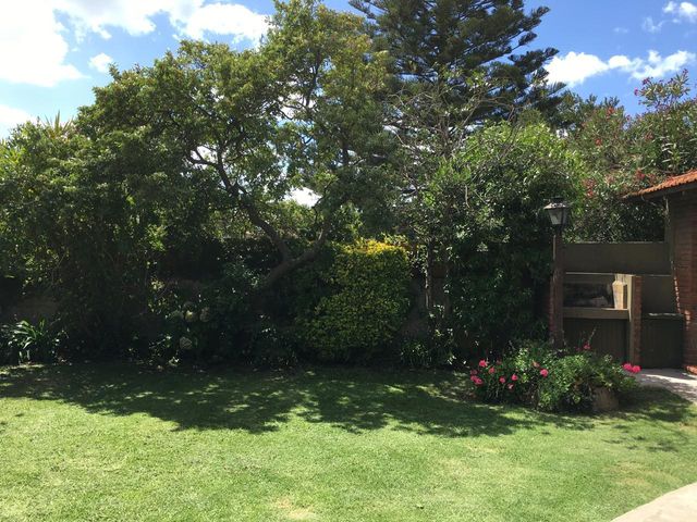 place photo 23