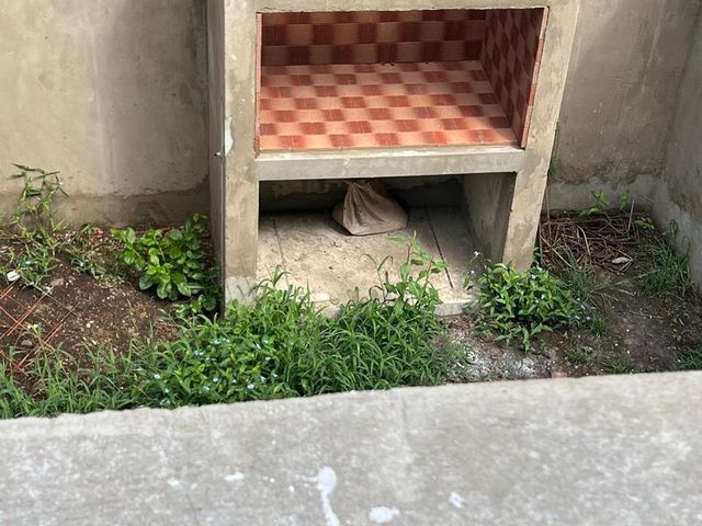 place photo 30