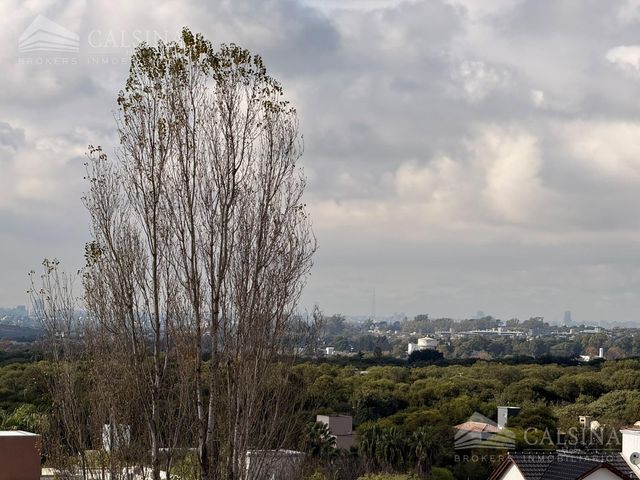place photo 50