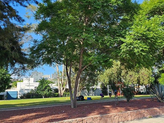 place photo 47