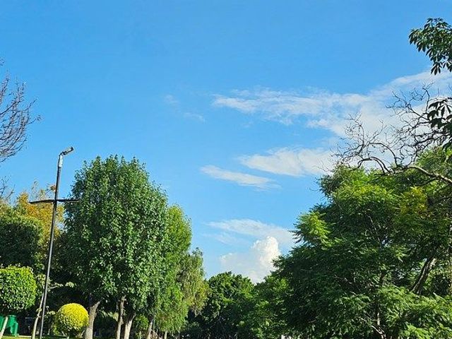 place photo 43