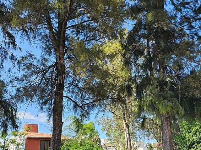 place photo 48
