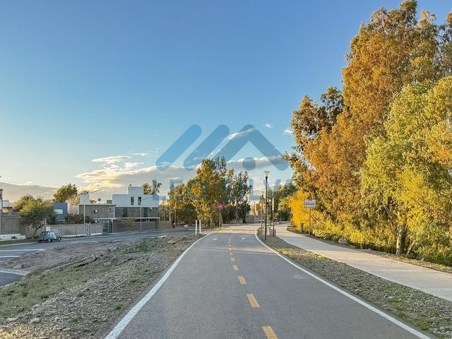 place photo 43