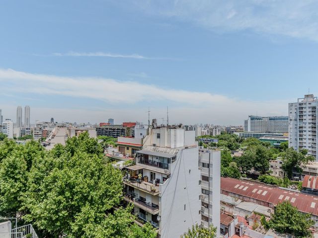 place photo 31
