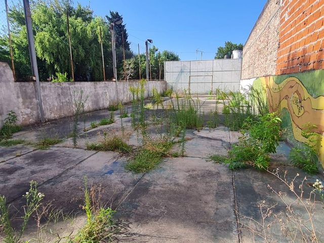 place photo 16