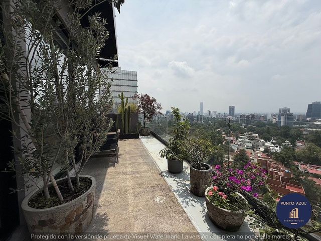 place photo 37