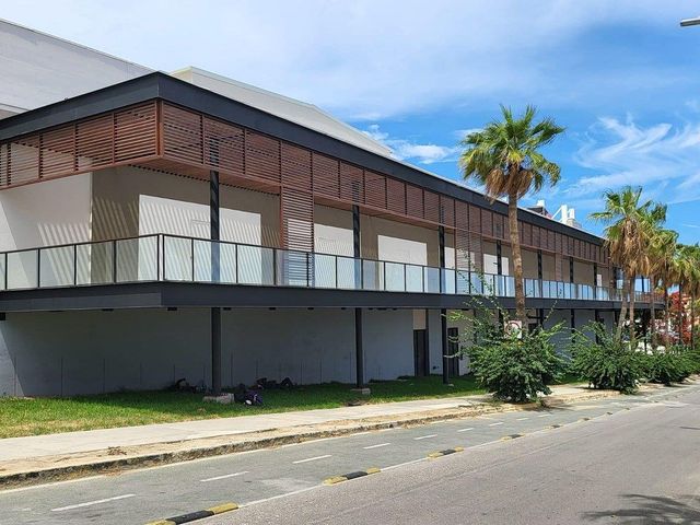 Local comercial renta, Los Cabos