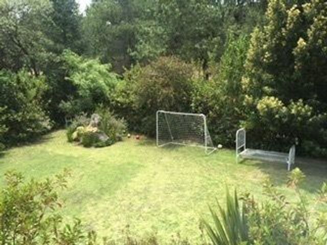 place photo 23