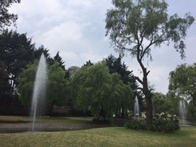 place photo 22