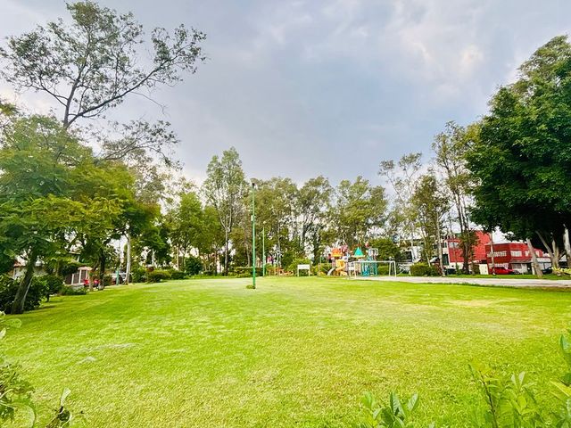 place photo 19