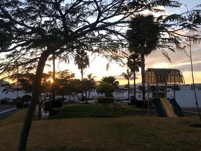 place photo 26