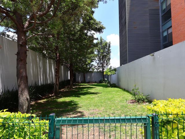 place photo 24