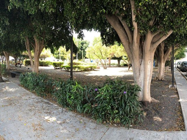 place photo 20